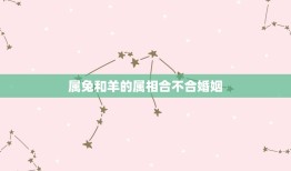 属兔和羊的属相合不合婚姻(讨论属相配对与婚姻的关系)