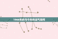 1966年的马今年的运气如何(基于生肖属相的运势分析)