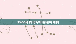 1966年的马今年的运气如何(基于生肖属相的运势分析)