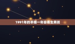 1991年的羊哪一年容易生男孩(介绍根据生肖属相预测男女比例)