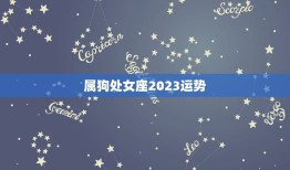 属狗处女座2023运势(狗年好运延续财运亨通)