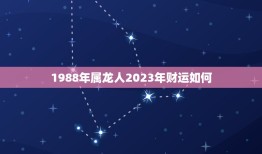 1988年属龙人2023年财运如何？(介绍龙年生肖运势)