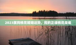 2023属狗桃花婚姻运势，狗的正缘桃花是谁