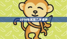 2016年属猴几岁虚岁(猴年生肖年龄计算方法详解)