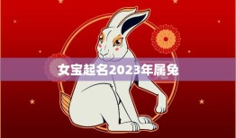 女宝起名2023年属兔(如何选取最佳名字)