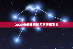 2023兔最旺男孩名字带草字头(草字头名字大集合)
