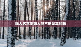 输入名字测两人配不配是真的吗，输入名字测两人配不配的软件