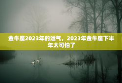 金牛座2023年的运气，2023年金牛座下半年太可怕了