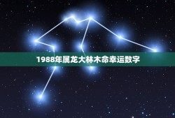 1988年属龙大林木命幸运数字(介绍数字8的神秘力量)