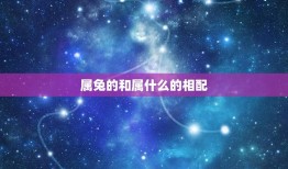 属兔的和属什么的相配(十二生肖配对指南)