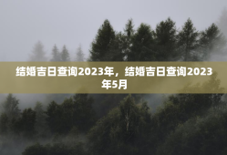 结婚吉日查询2023年，结婚吉日查询2023年5月