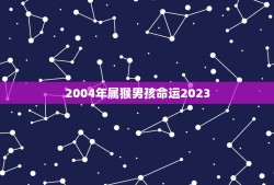 2004年属猴男孩命运2023(未来前途如何)