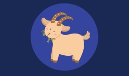 属羊的人几月出生最好命(揭秘最佳出生月份)