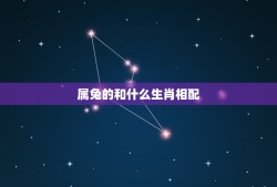 属兔的和什么生肖相配(十二生肖配对表)