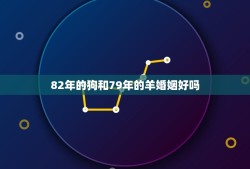 82年的狗和79年的羊婚姻好吗(介绍十二生肖婚配的秘密)