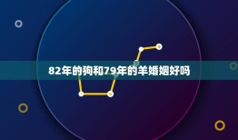 82年的狗和79年的羊婚姻好吗(介绍十二生肖婚配的秘密)