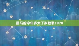 属马的今年多大了岁数表1978(了解你的命运与运势)