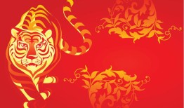 74年属虎的运势怎么样(2023年运势大揭秘)