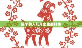 属羊的人几月出生最好命(揭秘最佳出生月份)