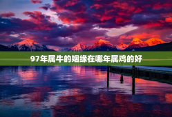 97年属牛的姻缘在哪年属鸡的好，97年属牛哪年遇到另一半