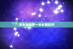 测未来的另一半长相软件(科学家研发出新型情感智能算法)