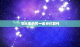 测未来的另一半长相软件(科学家研发出新型情感智能算法)