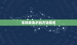 怎样养兔子的方法视频(兔子养殖方法详解)