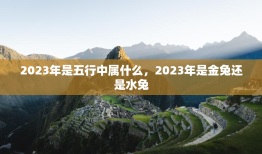 2023年是五行中属什么，2023年是金兔还是水兔