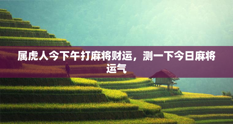 属虎人今下午打麻将财运，测一下今日麻将运气