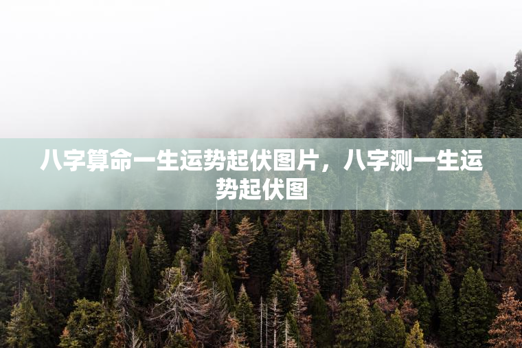 八字算命一生运势起伏图片，八字测一生运势起伏图