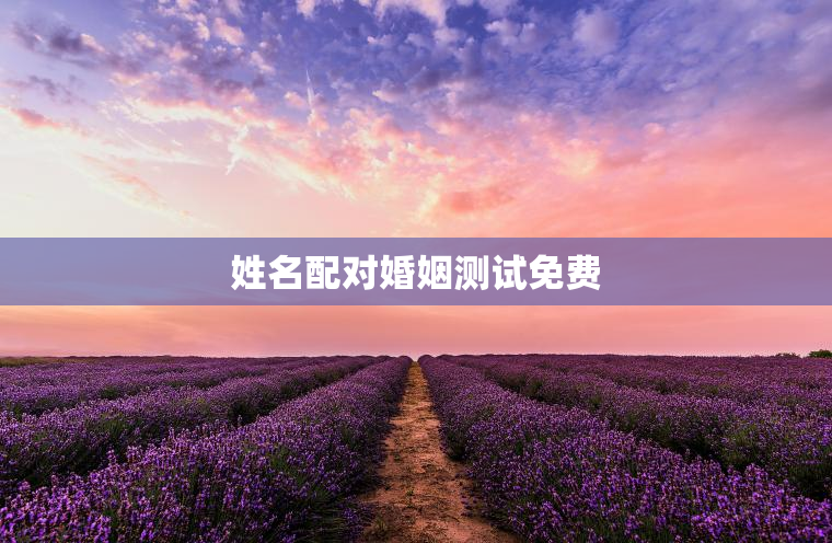 姓名配对婚姻测试免费，姓名配对测试姻缘免费