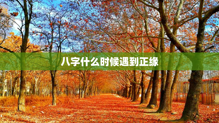 八字什么时候遇到正缘，八字啥时候遇到正缘