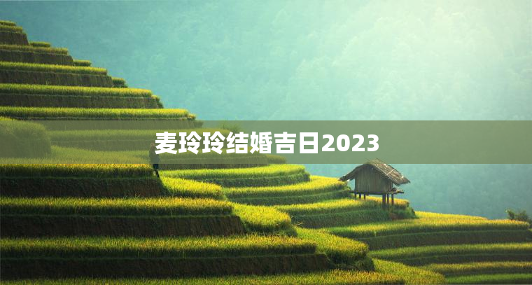 麦玲玲结婚吉日2023，麦玲玲2023年黄历