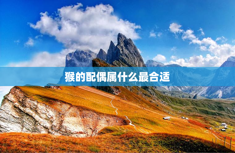 猴的配偶属什么最合适，猴的配偶属什么最合适婚姻呢