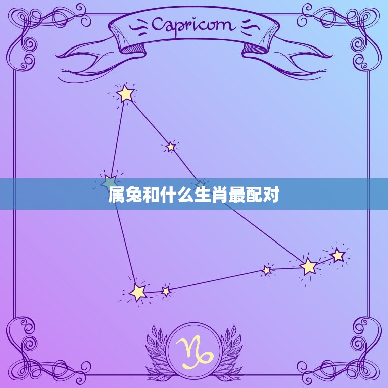 属兔和什么生肖最配对(十二生肖配对指南)