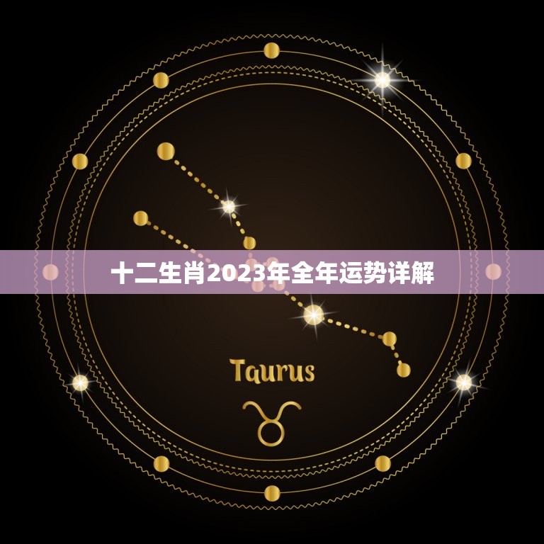 十二生肖2023年全年运势详解(财运感情事业全面预测)