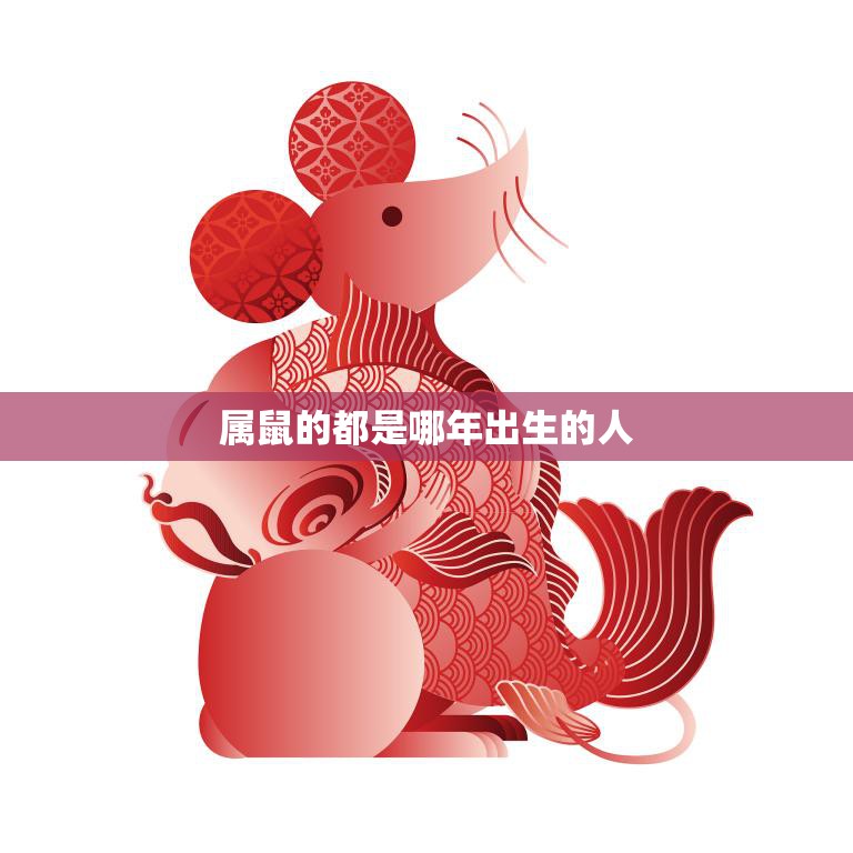 属鼠的都是哪年出生的人(2023年是属鼠的吗)