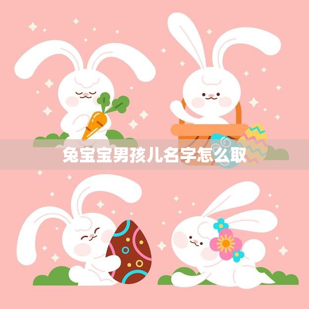 兔宝宝男孩儿名字怎么取(如何给你的小兔子取一个有意义的名字)
