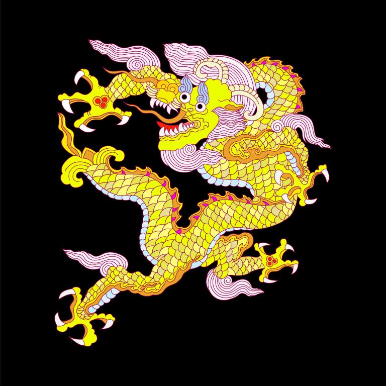 1988年属龙女容易患那种病（ 88年属龙女性健康风险提示）  第3张