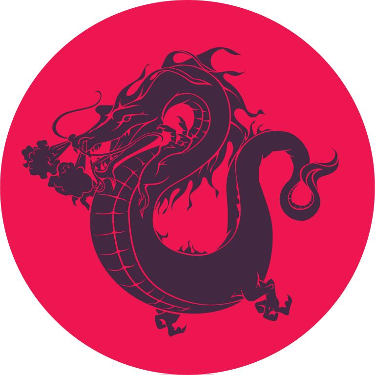 属龙的男孩取名有什么讲究（ 属龙男孩取名注意事项）  第3张