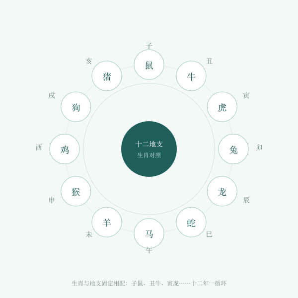 十二地支与生肖环状对照