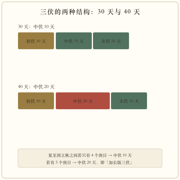 三伏三十天与四十天两种结构对照图