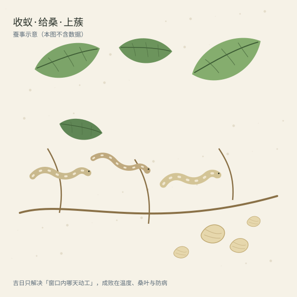 蚕事场景示意（无数据）